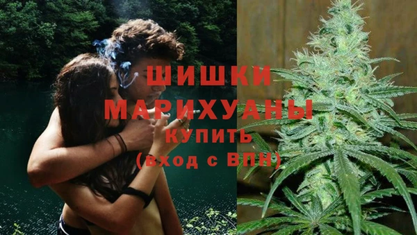 молекула духа Вязники