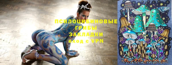 молекула духа Вязники